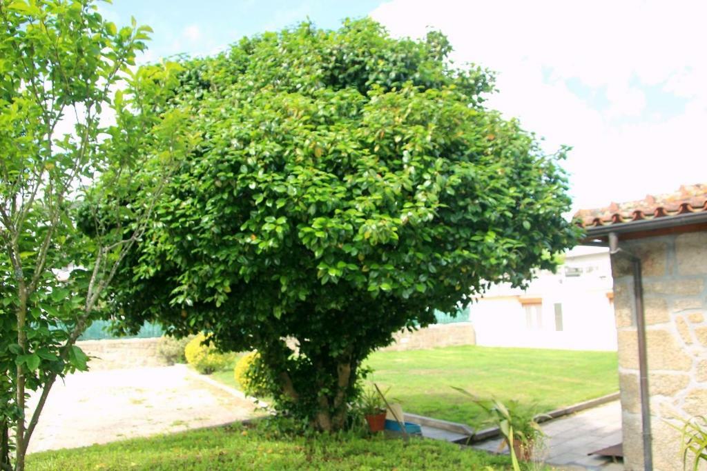 Casa Pombas